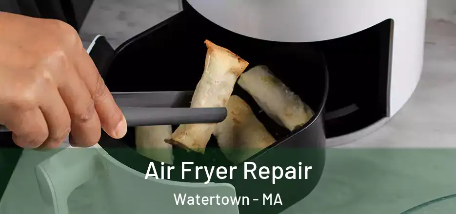 Air Fryer Repair Watertown - MA