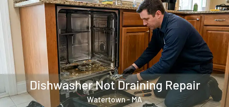 Dishwasher Not Draining Repair Watertown - MA