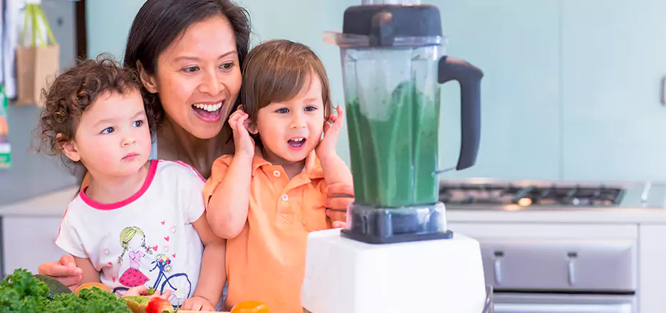 Juicer and Mixer Blender Repair in Watertown