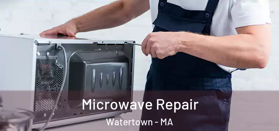 Microwave Repair Watertown - MA