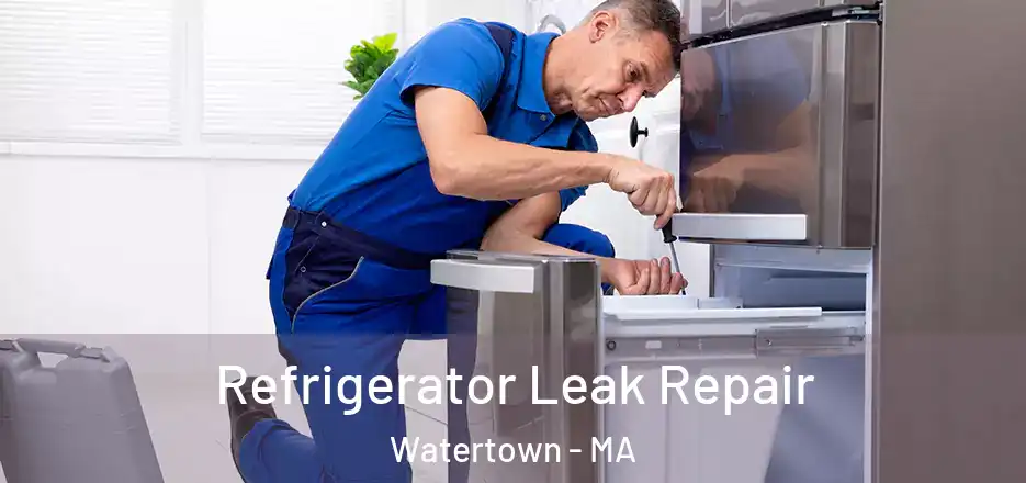 Refrigerator Leak Repair Watertown - MA