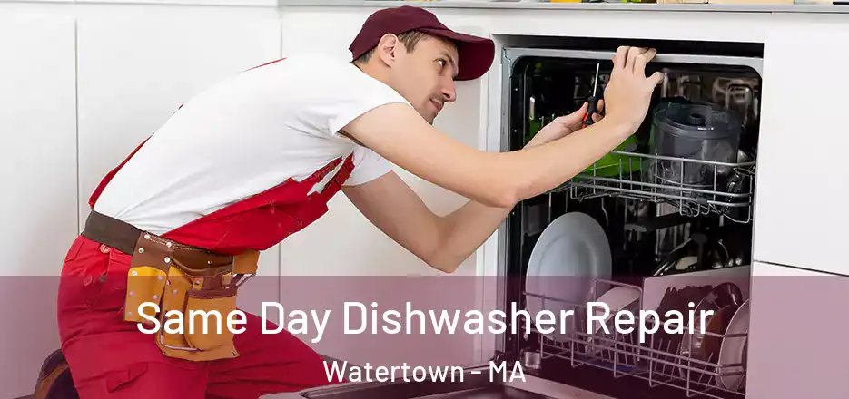 Same Day Dishwasher Repair Watertown - MA